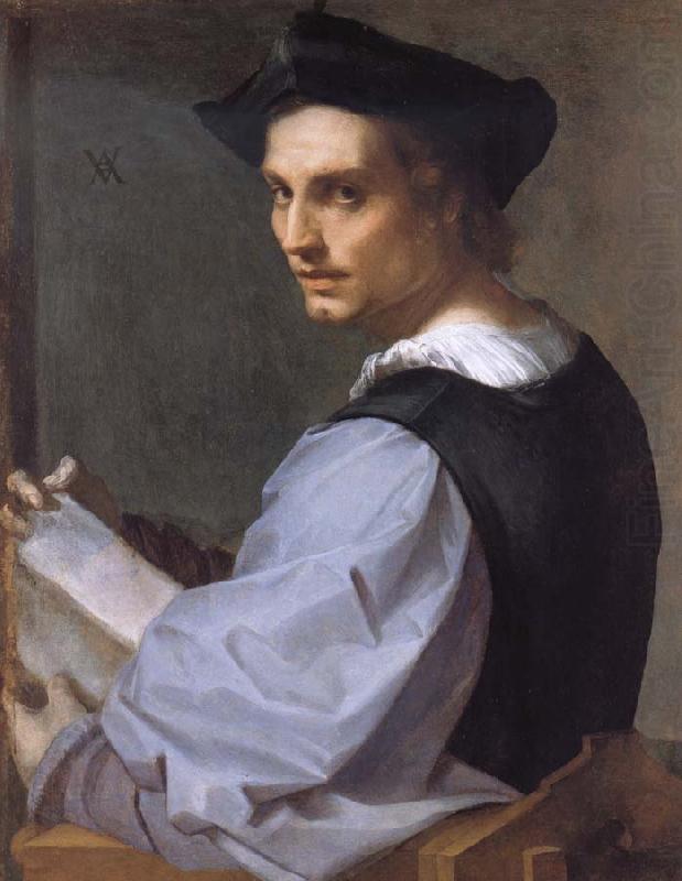 Portrait of a Young Man, Andrea del Sarto